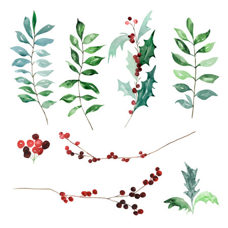 Set of watercolor traditional winter branches with leaves and berries for modern Christmas designsのイラスト素材