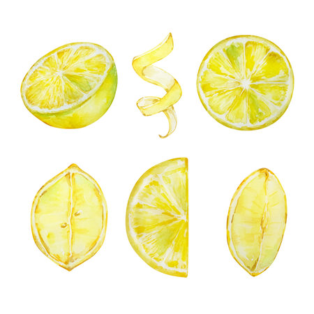 Watercolor mediterranean set, juicy lemons, leaves, flowers, Italian tiles, illustration for designの写真素材
