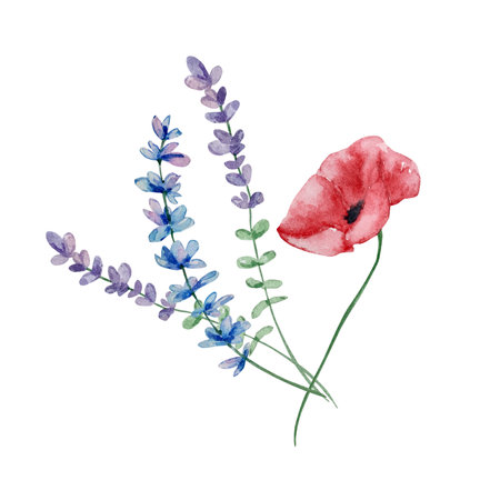 Watercolor bouquet of wildflowers, illustration for cards and invitationsの写真素材