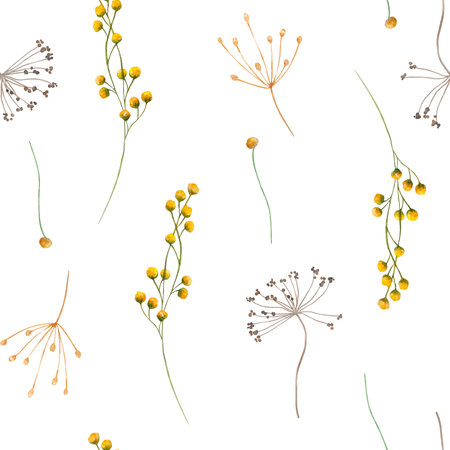 Seamless floral pattern of watercolor wildflowers for print and backgroundの写真素材