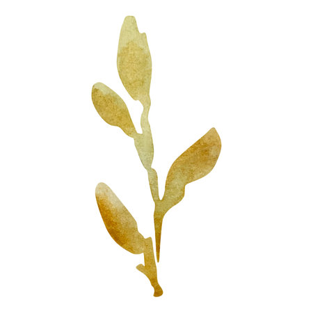 Watercolor branch with leaves for spring design of invitations and cardsの写真素材