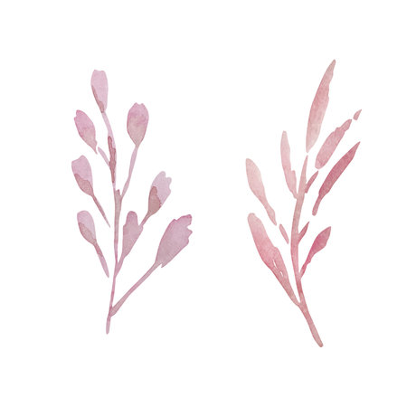 Watercolor pink branches with leaves for spring design of invitations and cardsのイラスト素材