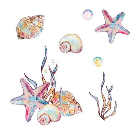 Watercolor colorful underwater life illustration for design and printのイラスト素材
