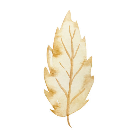 Watercolor dry beige tree leaf, autumn floralの写真素材
