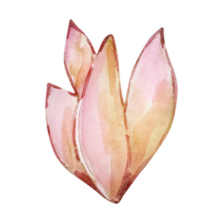 Watercolor cactus, desert mexican plants illustrationの写真素材