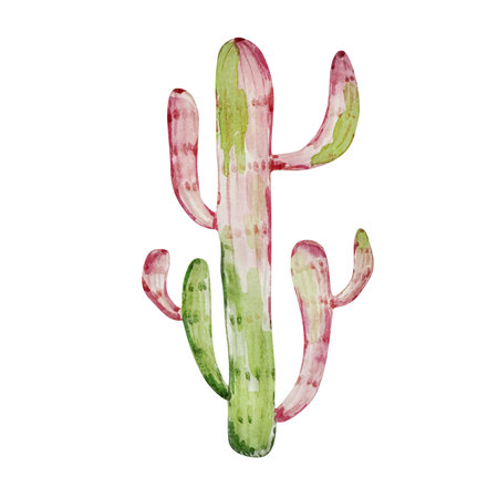 Watercolor cactus, desert mexican plants illustrationの写真素材