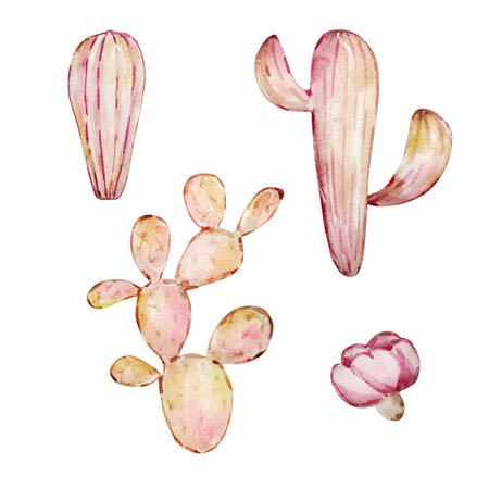 Watercolor cactus set, desert mexican plants illustrationの写真素材