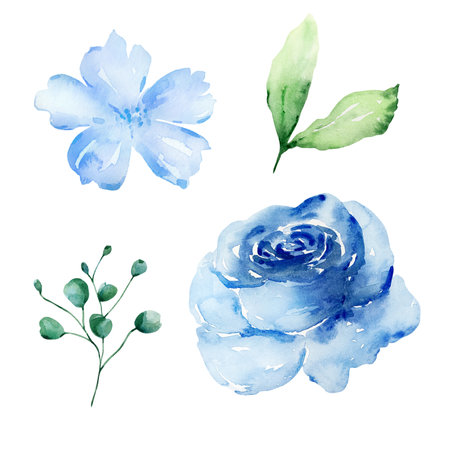 Blue watercolor blossom flowers set, floral illustration for design and printの写真素材