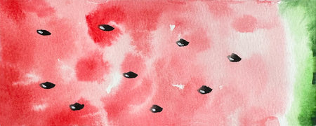 Watercolor watermelon background, summer texture for designの写真素材