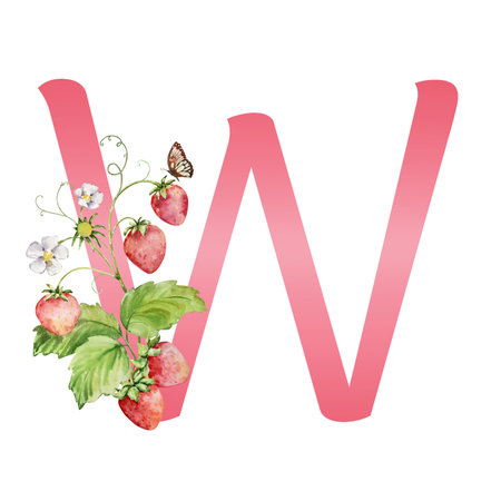 Red Letter W with watercolor strawberry, leaves, flowers and butterfly for print and designの写真素材