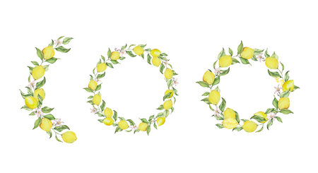 Watercolor lemon frame set with fruit, slice, leaves and flowers, summer designの写真素材
