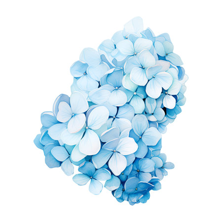 Watercolor blue hydrangea, flowers illustration