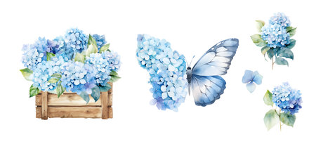 Watercolor set of blue hydrangea bouquets, floral illustration