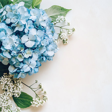 Blue hydrangea and small flowers on white background with copy space, top view. Flyer template, Greeting card or cover designの写真素材