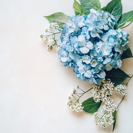 Blue hydrangea and small flowers on white background with copy space, top view. Flyer template, Greeting card or cover designの写真素材