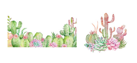 Watercolor cactus and succulent frame set, tropical plants, botanical illustration for cards and printの写真素材