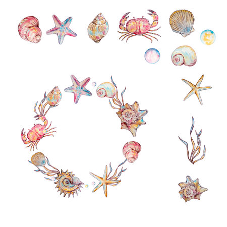 Watercolor seashells and starfish frame with copy space for text, underwater themeの写真素材