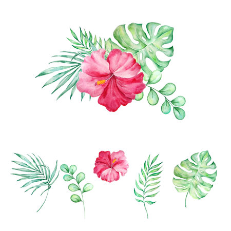 Bouquet of tropical flowers and leaves in watercolor style for summer designs.の写真素材