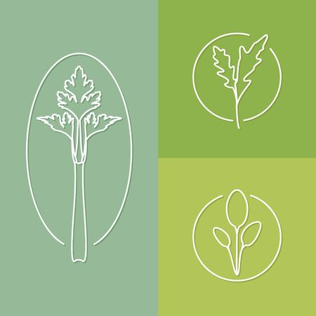vector linear herbs icon and badges design - kitchen herbs concepts - trendy styleのイラスト素材