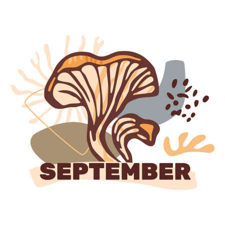 Square autumn banner template with chaterelle mushrooms and abstract organic shapes over white background. Autumn or fall seasonal design concept.のイラスト素材