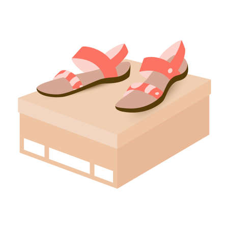 Pink sandals on shoebox. Vector illustration with female comfort shoes. Summer footwear for women.のイラスト素材