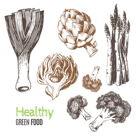 Hand-drawn vegetables. Vector illustration includes leeks, broccoli, asparagus, artichoke. Ideal for use in organic food industry, healthy green food market, vegetarian restaurant.のイラスト素材