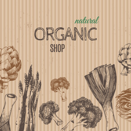 Hand-drawn vegetables on cardboard. Vector illustration includes leeks, broccoli, asparagus, artichoke. Ideal for use in organic food industry, healthy green food market, vegetarian restaurant.のイラスト素材