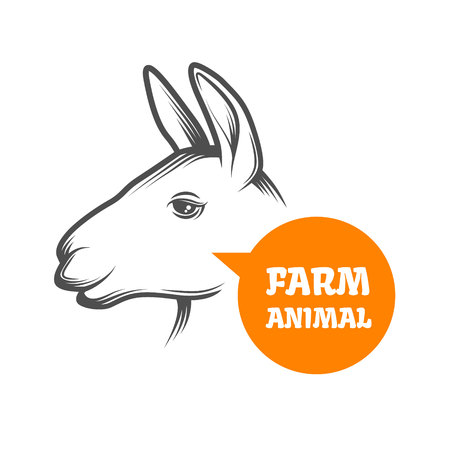 Farm animal - lama or alpaca. Vector illustration.のイラスト素材