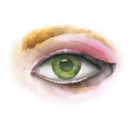 Human eye, fragment of the face. Human anatomy. The isolated object on a white background.の写真素材