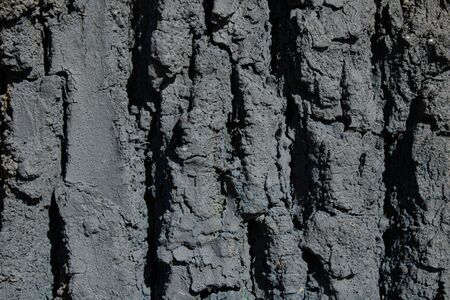 Outdoor colors.Modern raw abstract concept.Wooden materials.Forest life.Ecology and our...