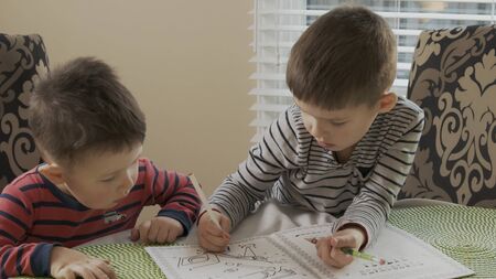 Two little brothers are sitting at the table and draw together on the same coloring.の写真素材