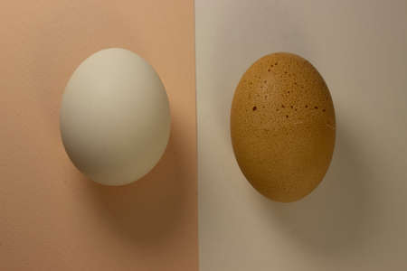 Brown and white eggs lie on a light background.の写真素材