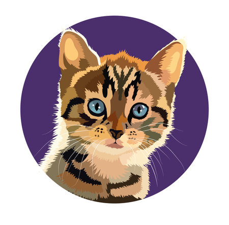 portrait of a tabby kitten on a background of a lilac circleのイラスト素材