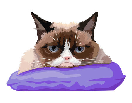 Portrait of a cat with a displayed lookのイラスト素材