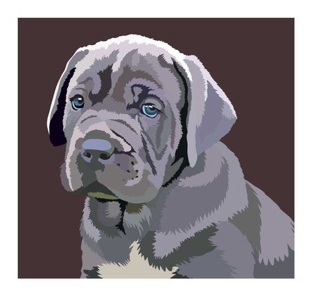 portrait of a dog breed Cane Corso on a dark backgroundのイラスト素材
