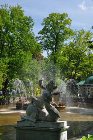 Petergof fountainsの写真素材