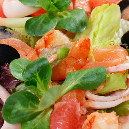 Salad from seafood and a salmon close-upの写真素材