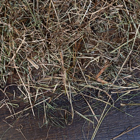 Hay on a wooden background close upの写真素材