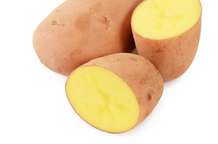 Potato close up isolated on white backgroundの写真素材