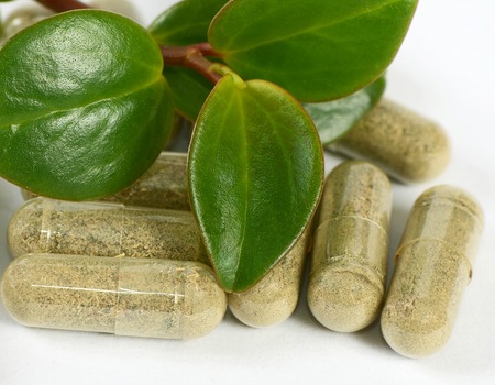 Tablets with a plant close-up. Medical conceptの写真素材