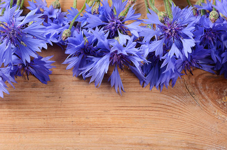 The beautiful cornflower on wooden の写真素材