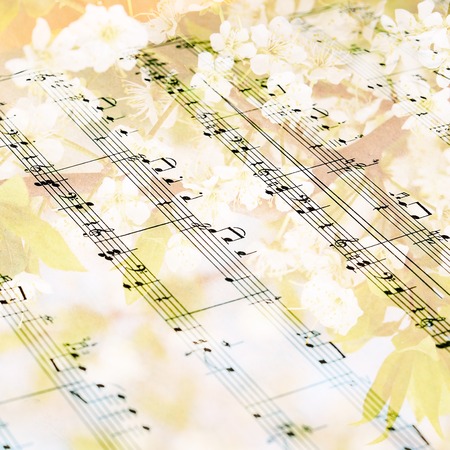 Music sheet against flowering tree- art backgroundの写真素材