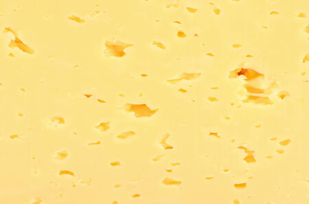 The fresh cheese isolated on white background