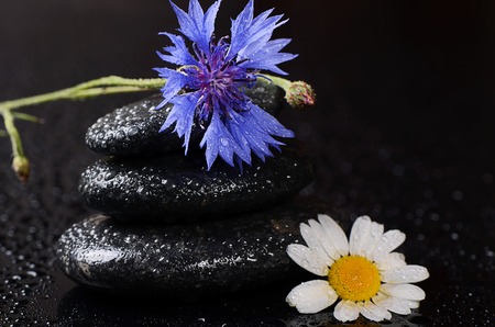 Stones for spa with drops and cornflowerの写真素材