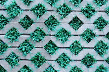 Paving slabs close up as a backgroundの写真素材