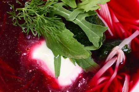 The beet summer cold soup with noodlesの写真素材