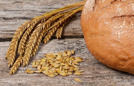 The fresh bread with ears a rye