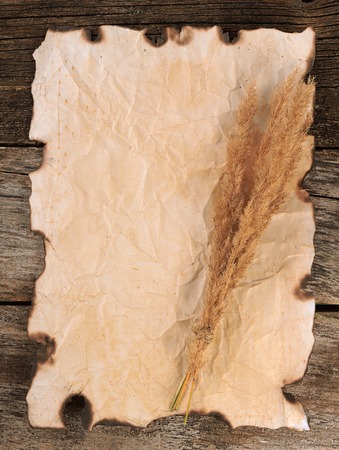 Old crushed paper with the burned edgesの写真素材