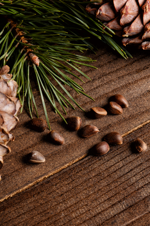 Cedar tree branch with cones and nutsの写真素材