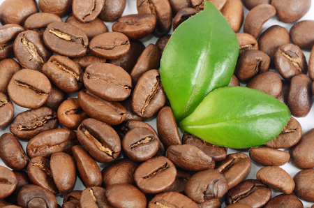 The a coffee beans as a backgroundの写真素材